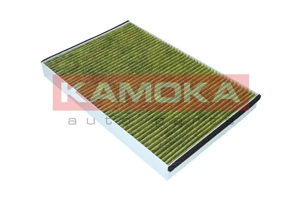 Filter, cabin air 6080063