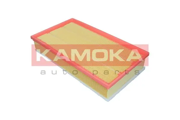 Air Filter F257701