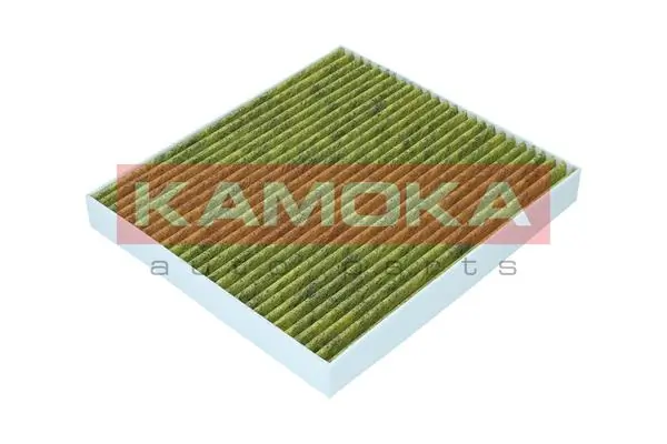 Filter, cabin air 6080034