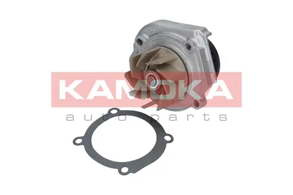 Water Pump, engine cooling T0020