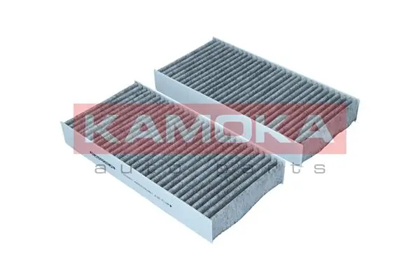 Filter, cabin air F515601