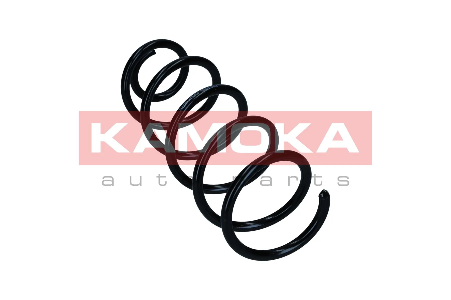 Suspension Spring 2120399