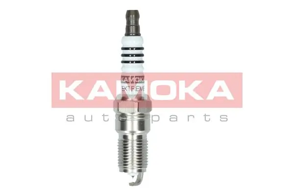 Spark Plug 7100024