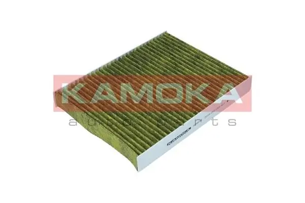 Filter, cabin air 6080014