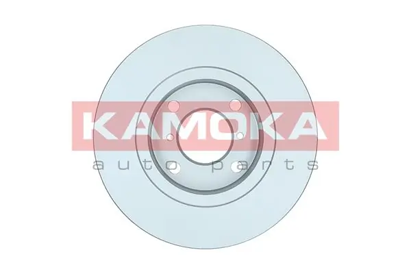 Brake Disc 1032296