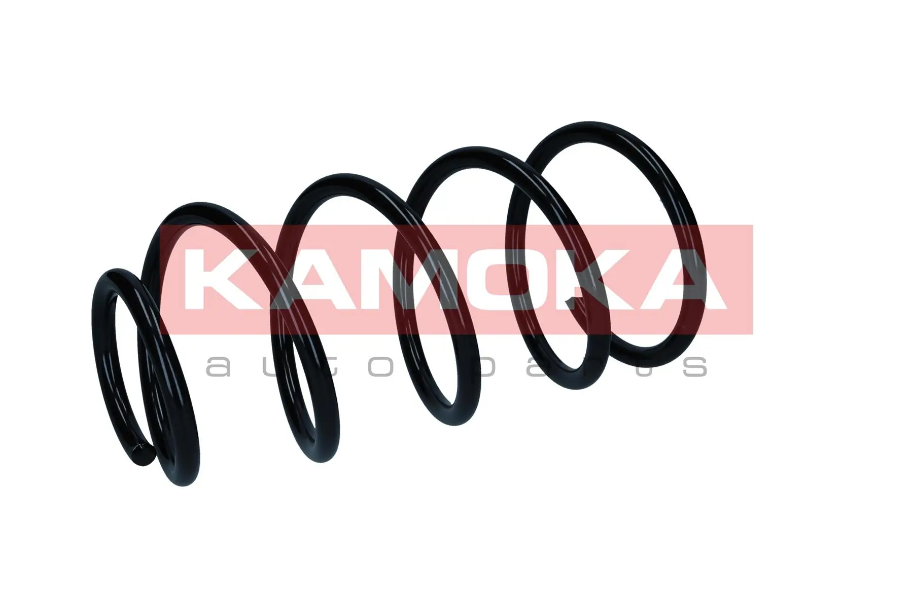 Suspension Spring 2110868