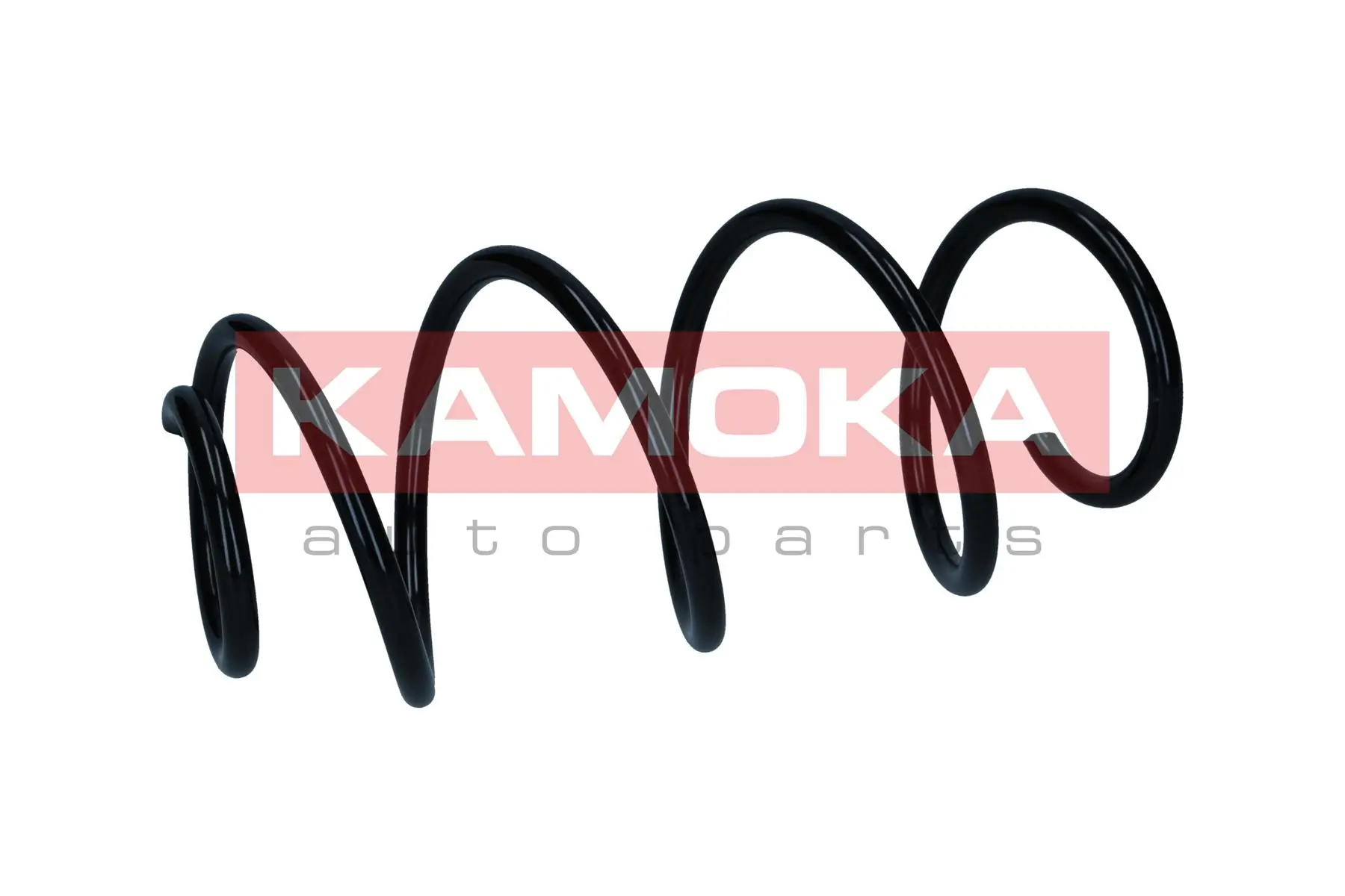 Suspension Spring 2110844