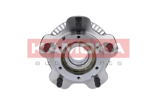 Wheel Bearing Kit 5500050