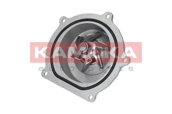 Water Pump, engine cooling T0145