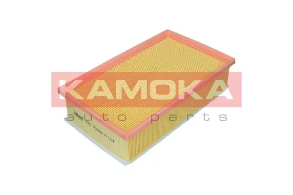 Air Filter F248501