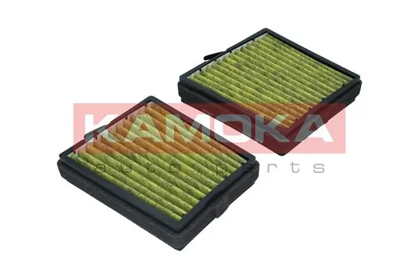 Filter, cabin air 6080046