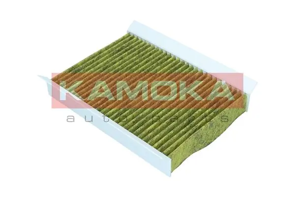 Filter, cabin air 6080056
