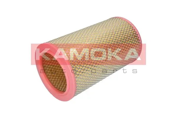 Air Filter F245401