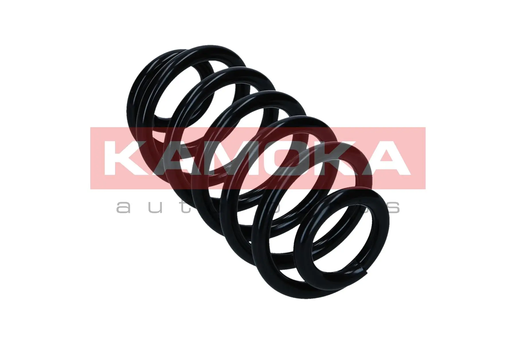 Suspension Spring 2120561