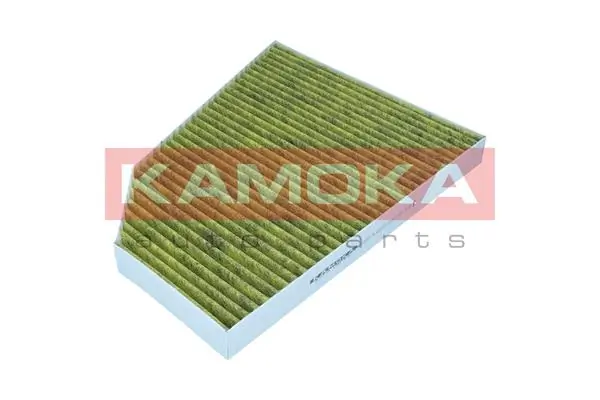 Filter, cabin air 6080174