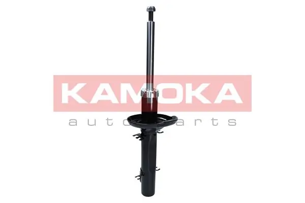 Shock Absorber 2000381