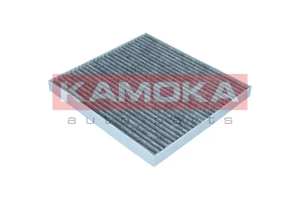 Filter, cabin air F527101