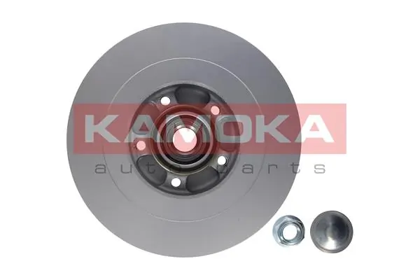 Brake Disc 1031072