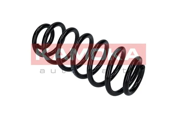 Suspension Spring 2120319