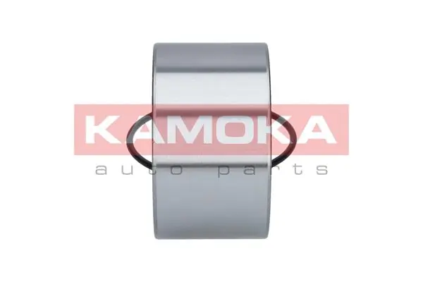 Wheel Bearing Kit 5600183