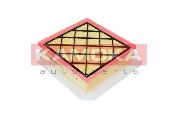 Air Filter F222301