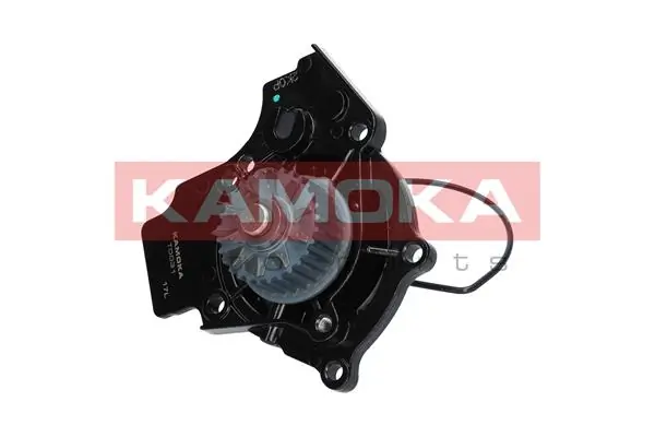 Water Pump, engine cooling T0031