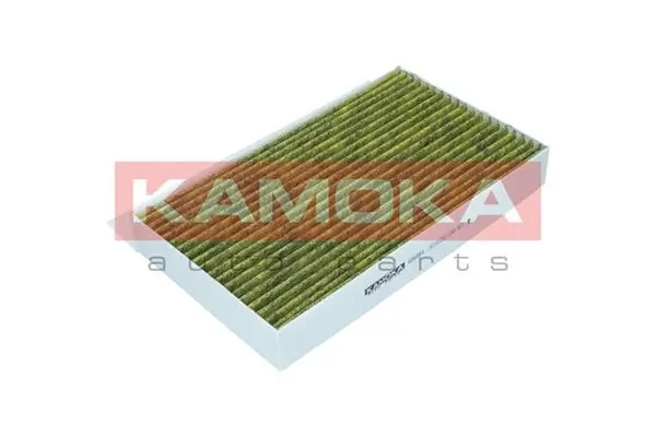 Filter, cabin air 6080090