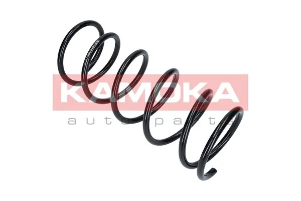 Suspension Spring 2110169