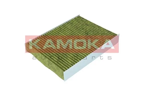 Filter, cabin air 6080059