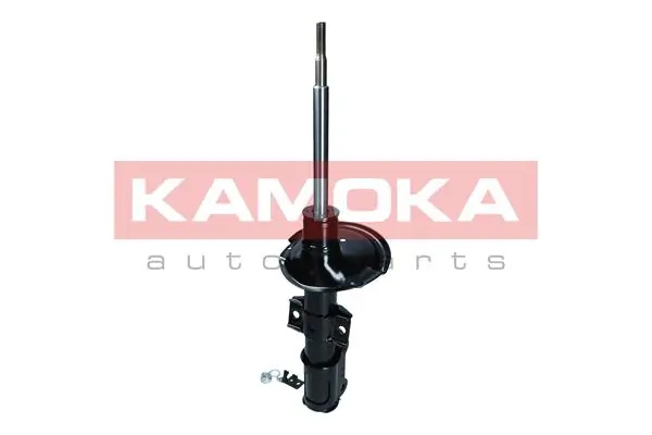 Shock Absorber 2000275