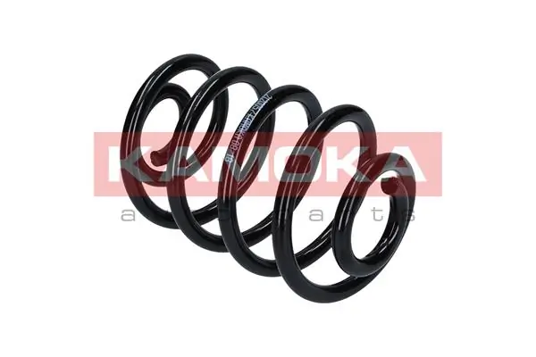 Suspension Spring 2120057