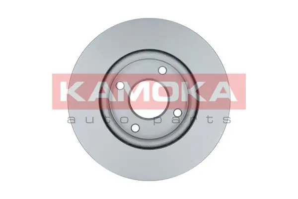 Brake Disc 103250