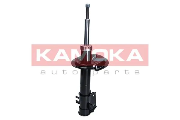 Shock Absorber 2001043