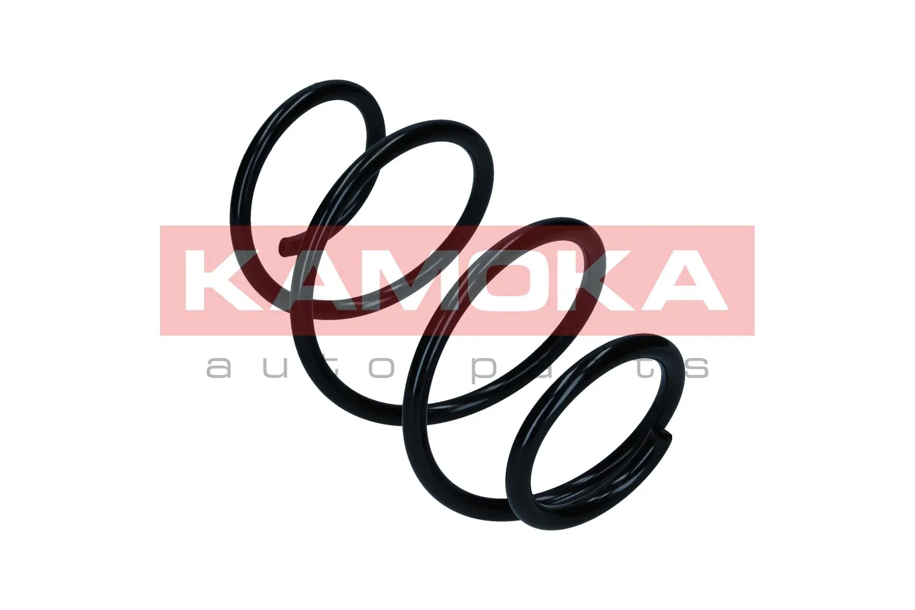 Suspension Spring 2110586