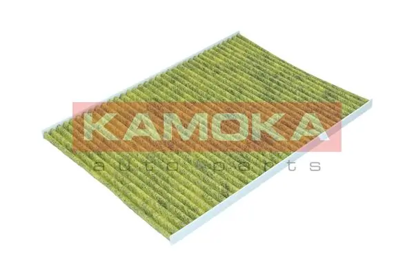Filter, cabin air 6080168