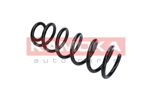 Suspension Spring 2120202