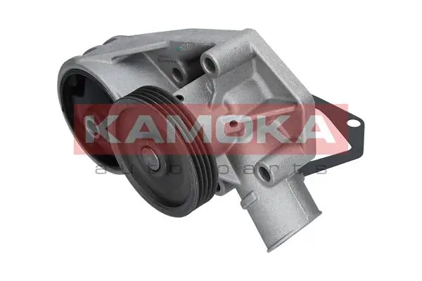 Water Pump, engine cooling T0251