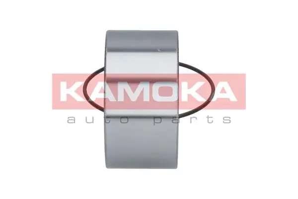 Wheel Bearing Kit 5600107