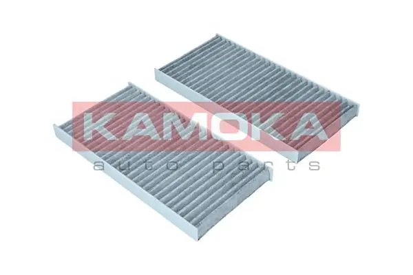 Filter, cabin air F517101