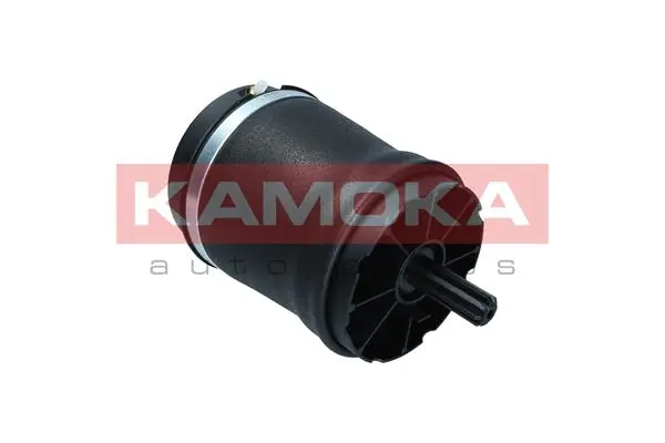 Air Spring, suspension 2079032