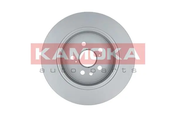 Brake Disc 1031113