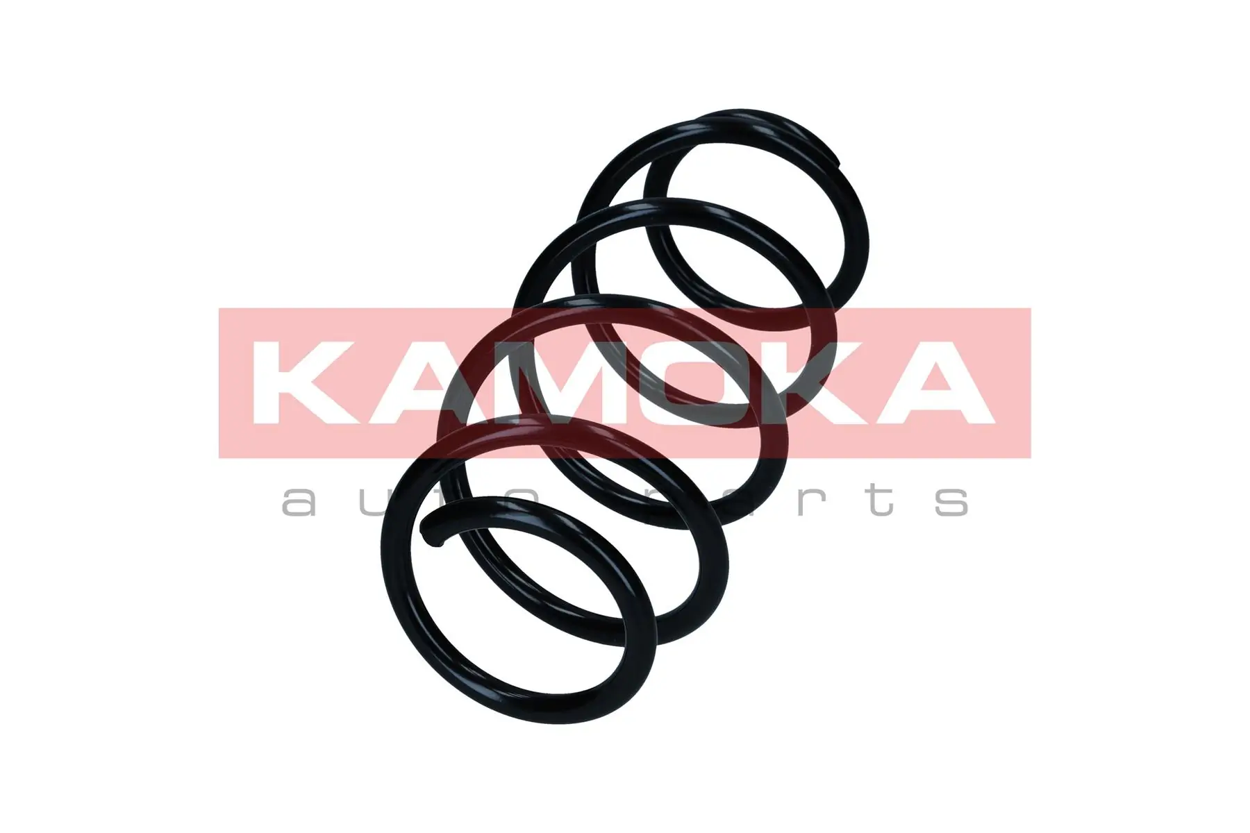 Suspension Spring 2120003