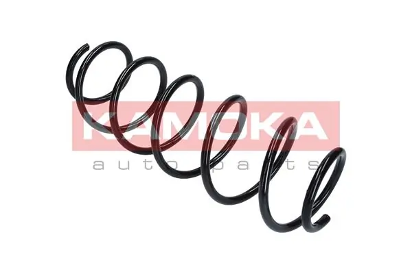 Suspension Spring 2110149