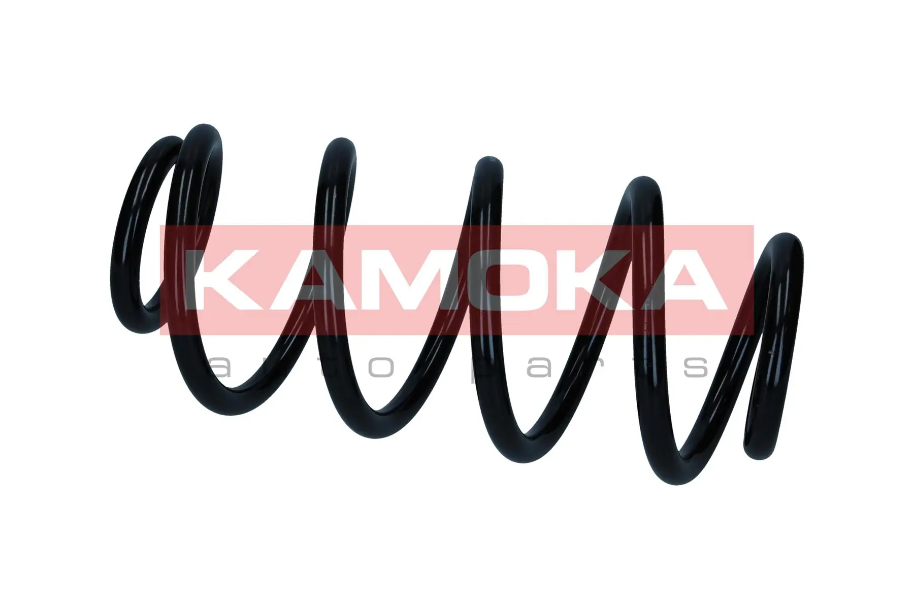 Suspension Spring 2110392