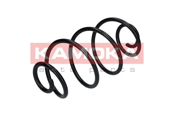 Suspension Spring 2120046