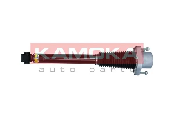 Air Suspension Strut 2070013
