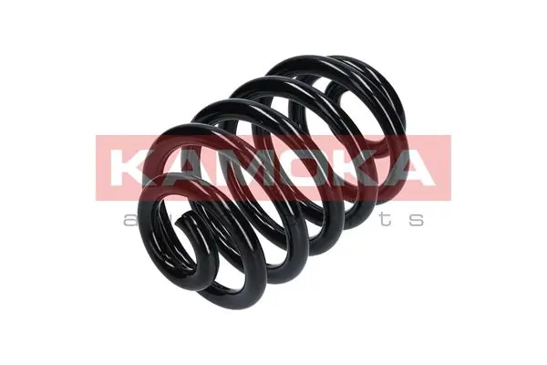 Suspension Spring 2120151