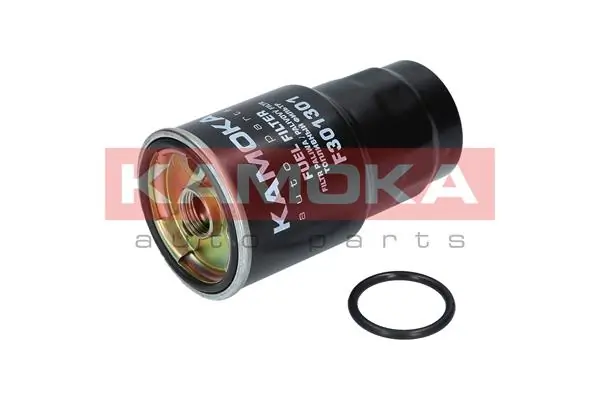 Fuel Filter F301301
