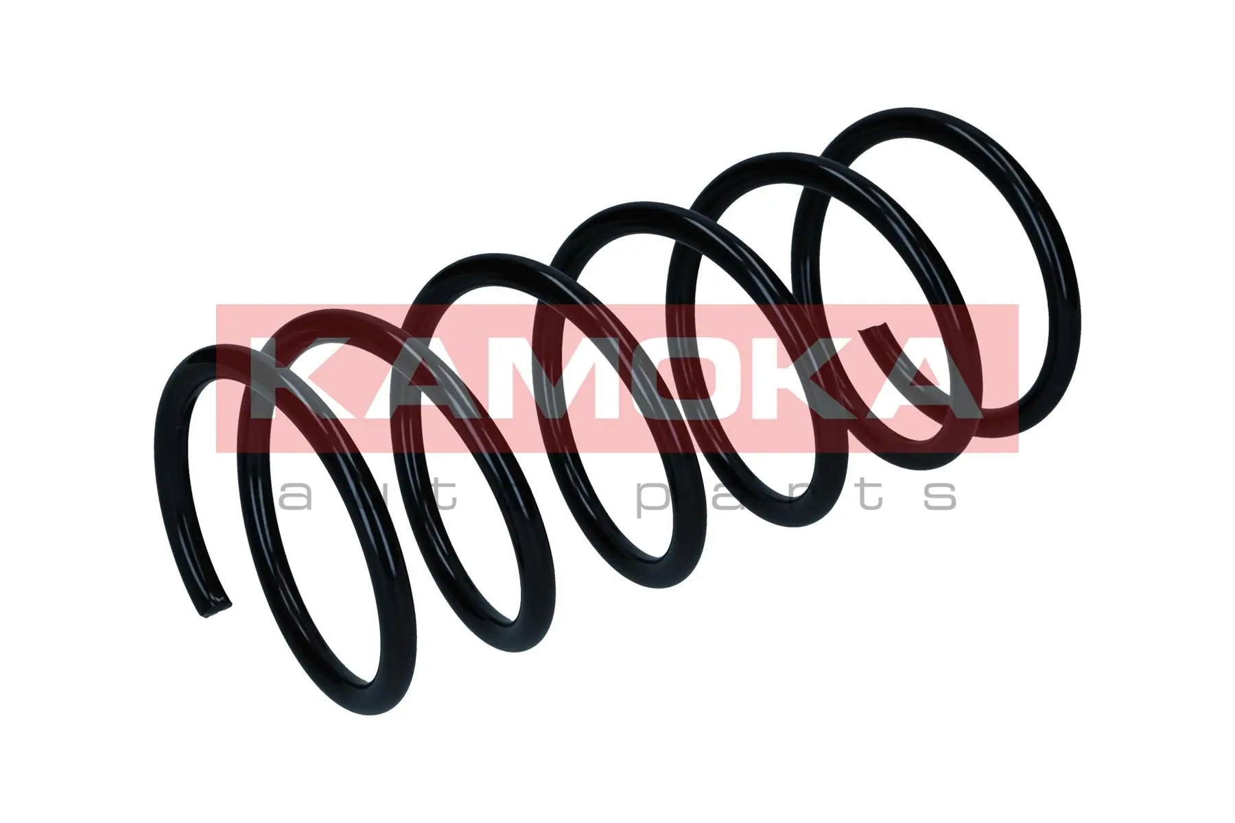 Suspension Spring 2110585