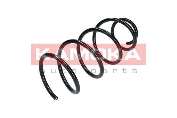 Suspension Spring 2110114